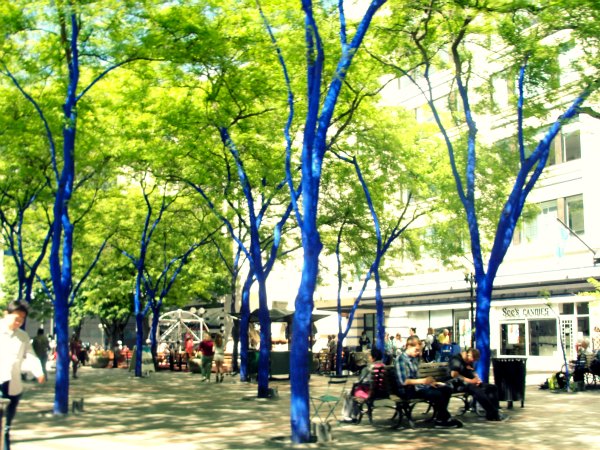 downtown blue trees